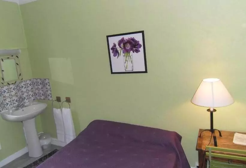 اتاق اکونومی, Hôtel Des Arceaux