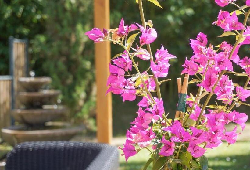 舒适型房间, The Originals City, Hôtel Le Lodge, Bayonne Nord