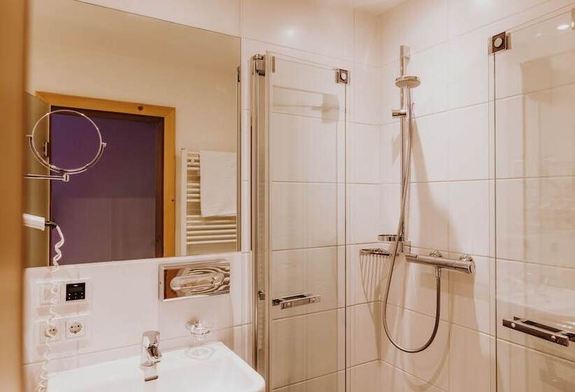 غرفة كلاسيكية فردية, Berghof   St Johann In Salzburg