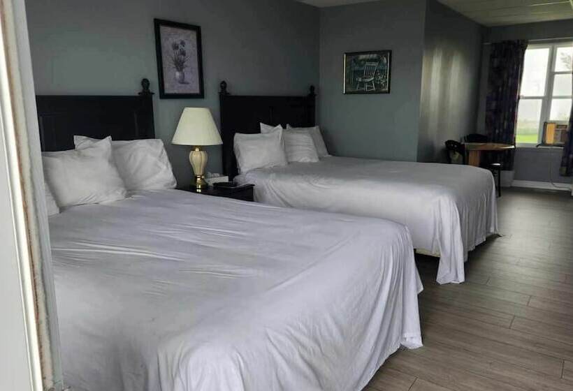 غرفه قياسيه سريرين مزدوجين, Motel Le Panorama