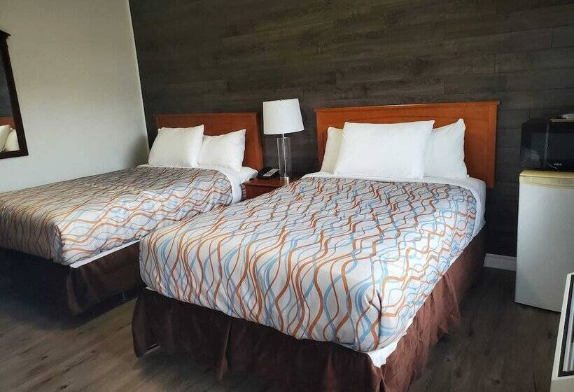 Номер Стандарт 2 Двуспальные Кровати, Silverstar Motel