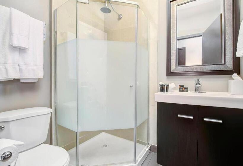 اتاق عادی, Willowdale Hotel Toronto North York