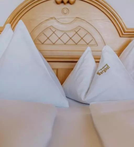 クラシックルーム, Berghof St Johann In Salzburg