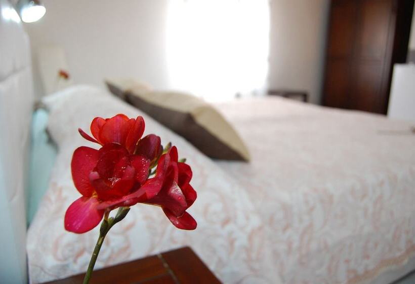 Номер Стандарт, Il Mirto E La Rosa