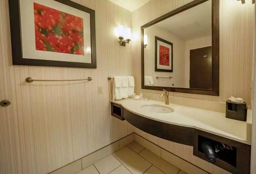 سوییت جونیور, Hilton Garden Inn Buffalo Downtown