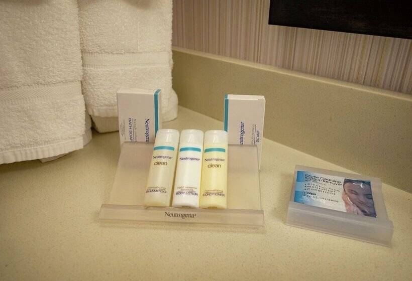 جناح ديلوكس, Hilton Garden Inn Buffalo Downtown