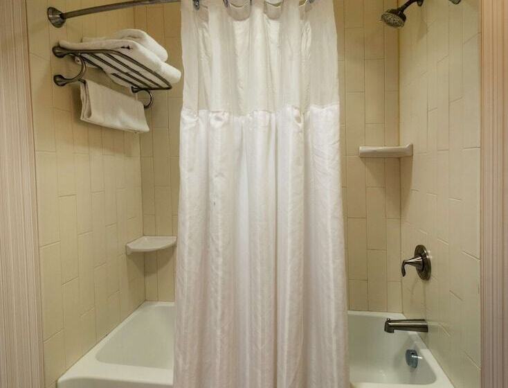 جناح ديلوكس, Hilton Garden Inn Buffalo Downtown