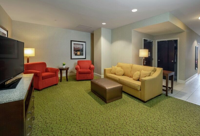 Люкс Повышенной Комфортности, Hilton Garden Inn Buffalo Downtown
