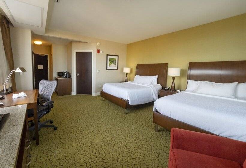 جناح ديلوكس, Hilton Garden Inn Buffalo Downtown