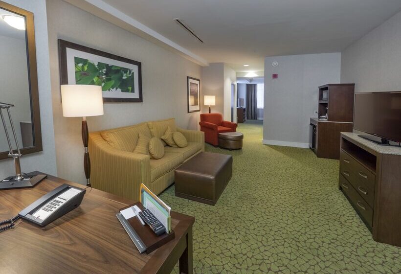 جناح ديلوكس, Hilton Garden Inn Buffalo Downtown