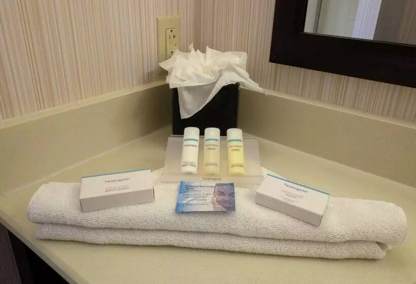 سوییت جونیور, Hilton Garden Inn Buffalo Downtown