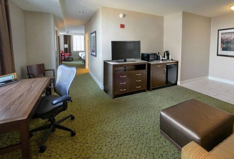 جناح جونيور, Hilton Garden Inn Buffalo Downtown