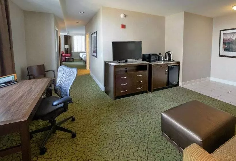 سوییت جونیور, Hilton Garden Inn Buffalo Downtown