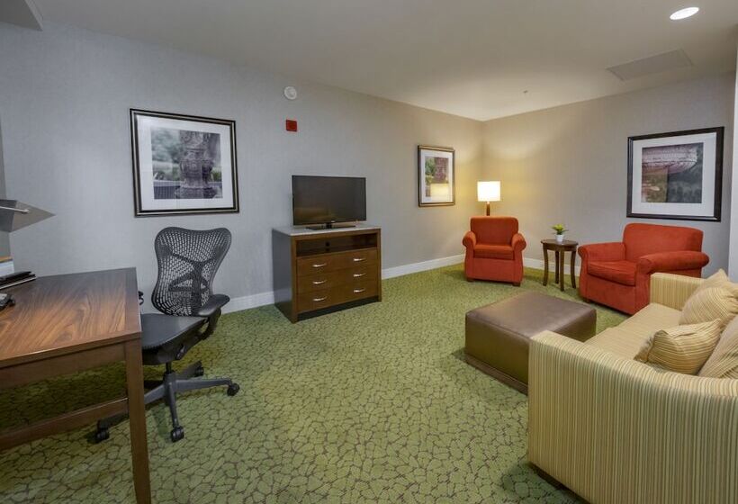 جناح جونيور, Hilton Garden Inn Buffalo Downtown