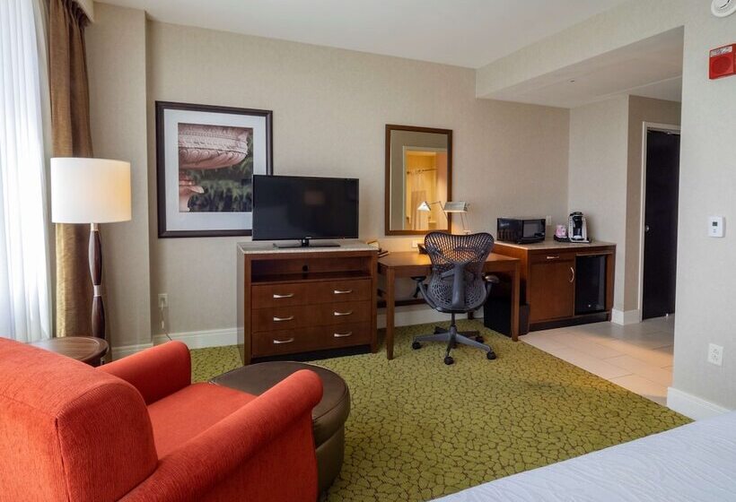 غرفة قياسية سرير مزدوج لذوى الإحتياجات الخاصة, Hilton Garden Inn Buffalo Downtown