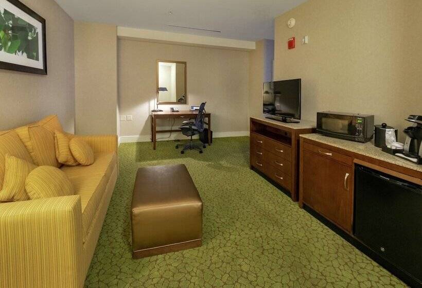 جناح جونيور, Hilton Garden Inn Buffalo Downtown