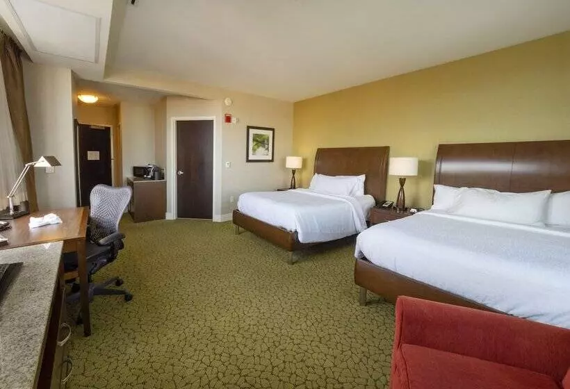 سوییت جونیور, Hilton Garden Inn Buffalo Downtown