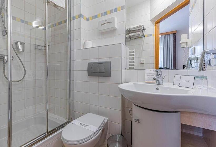 غرفة قياسية فردية, Nosalowy Dwor