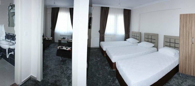 スタンダードルーム, Zileli