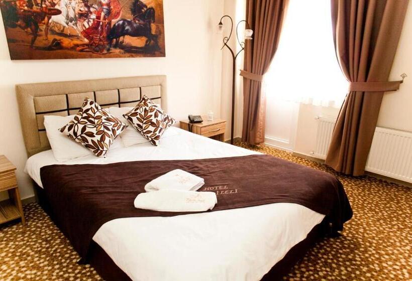 スタンダードルーム, Zileli