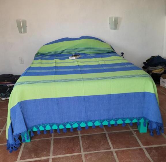 스탠다드 룸 바다 전망, The O Asis