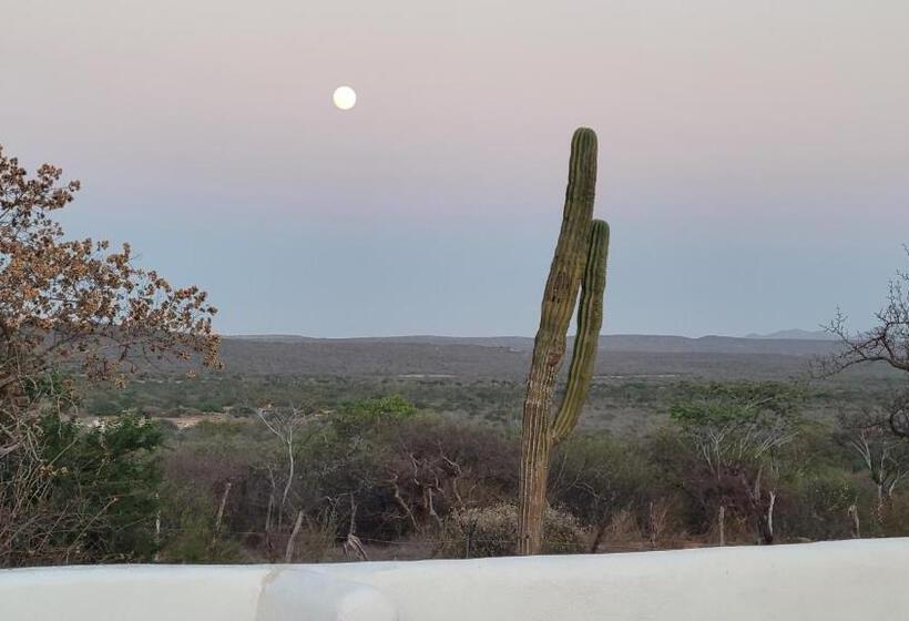 스탠다드 룸 가든 전망, The O Asis