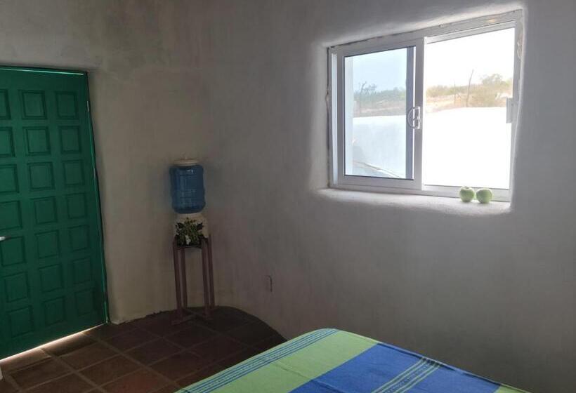 스탠다드 룸 가든 전망, The O Asis