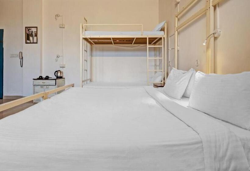 Quarto Estandar, Collection O  Twilight Classic