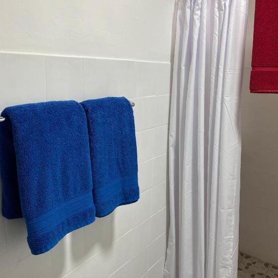 اتاق عادی, Cat In The Cup B&b