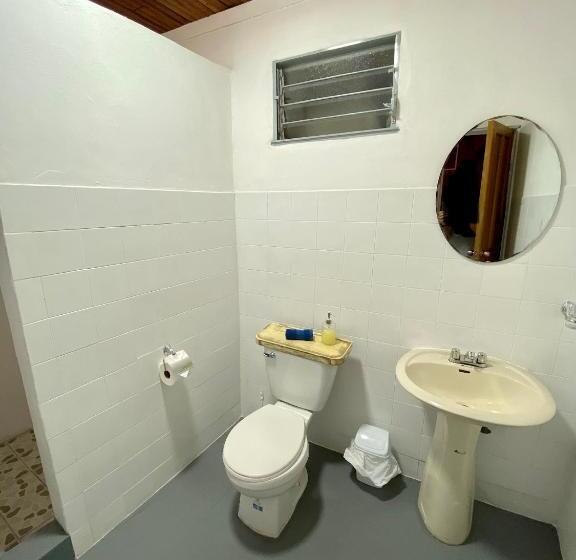 اتاق عادی, Cat In The Cup B&b