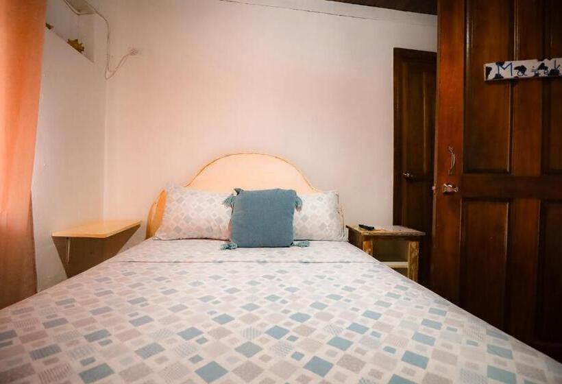 اتاق عادی, Cat In The Cup B&b