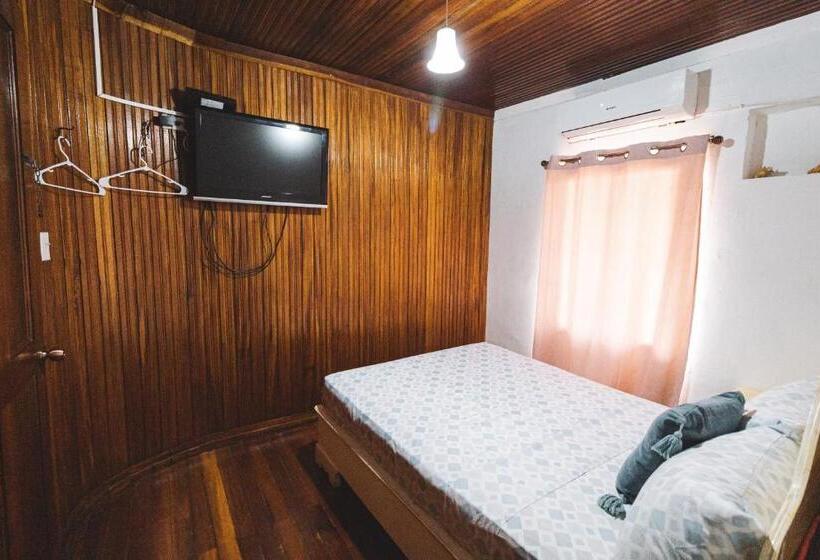 اتاق عادی, Cat In The Cup B&b