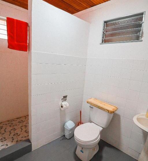 اتاق عادی, Cat In The Cup B&b