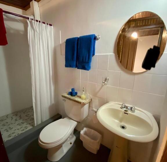 اتاق استاندارد, Cat In The Cup B&b