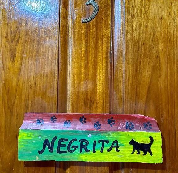 اتاق استاندارد, Cat In The Cup B&b