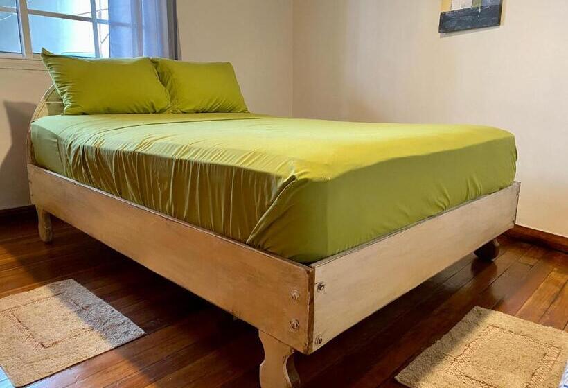 اتاق کلاسیک سه تخته, Cat In The Cup B&b