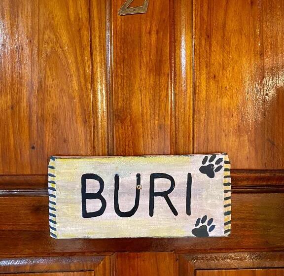 اتاق کلاسیک سه تخته, Cat In The Cup B&b