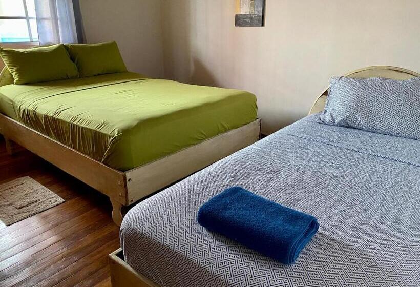 اتاق کلاسیک سه تخته, Cat In The Cup B&b