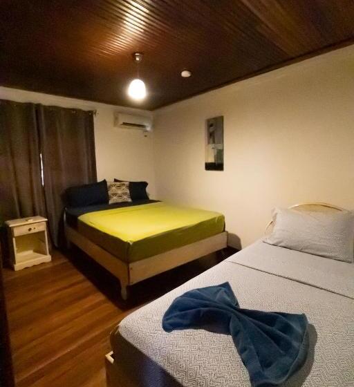 اتاق کلاسیک سه تخته, Cat In The Cup B&b