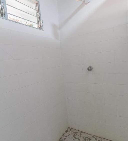 اتاق عادی, Cat In The Cup B&b