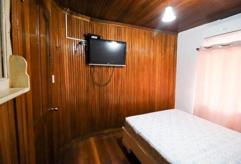 اتاق عادی, Cat In The Cup B&b