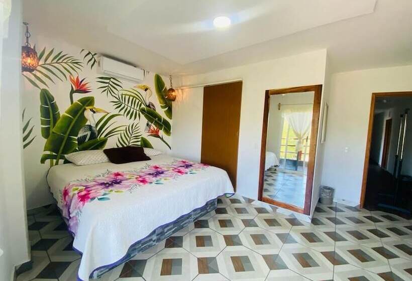 带观景的标准间, K&m