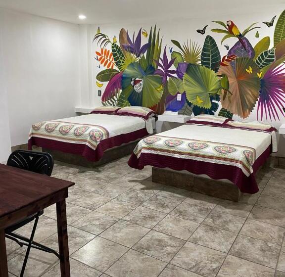 带2个双人床的标准工作室, K&m