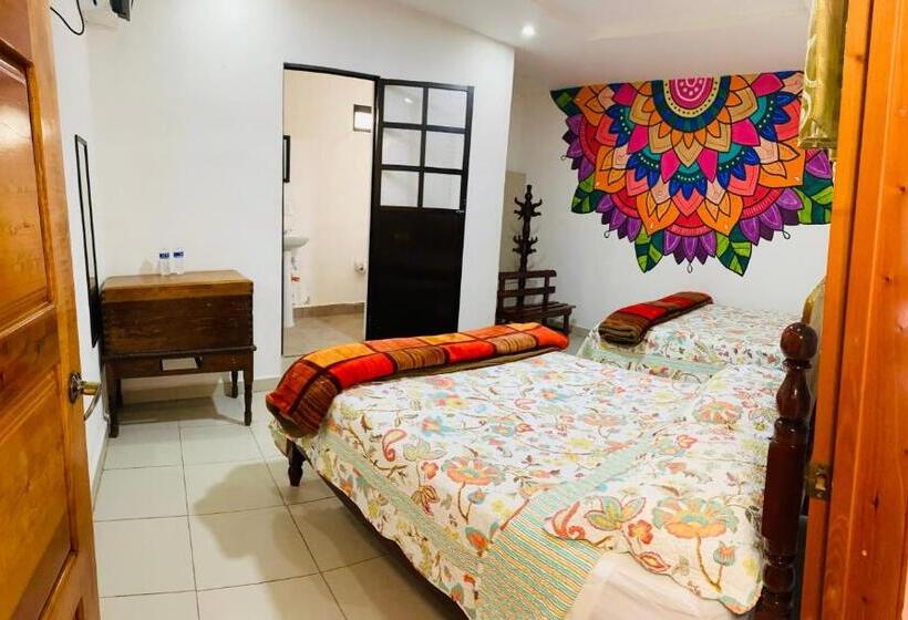 带2个双人床的标准工作室, K&m