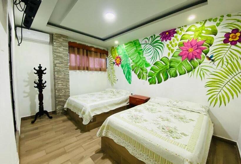 带2个双人床的标准工作室, K&m