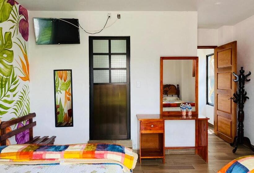 标准间带山景, K&m