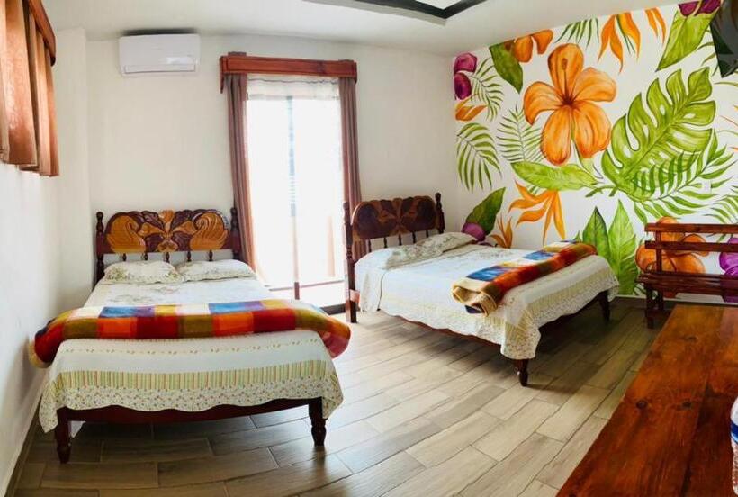 标准间带山景, K&m