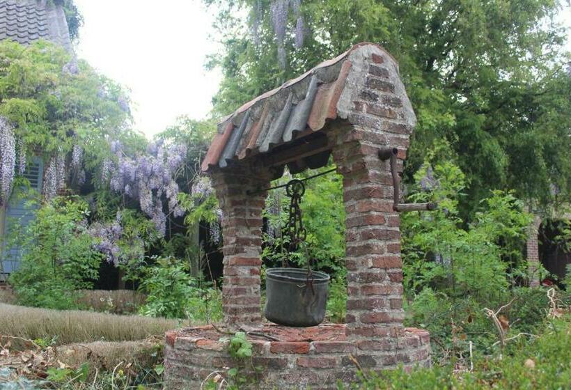 デラックススタジオ, Saffels Nest 33