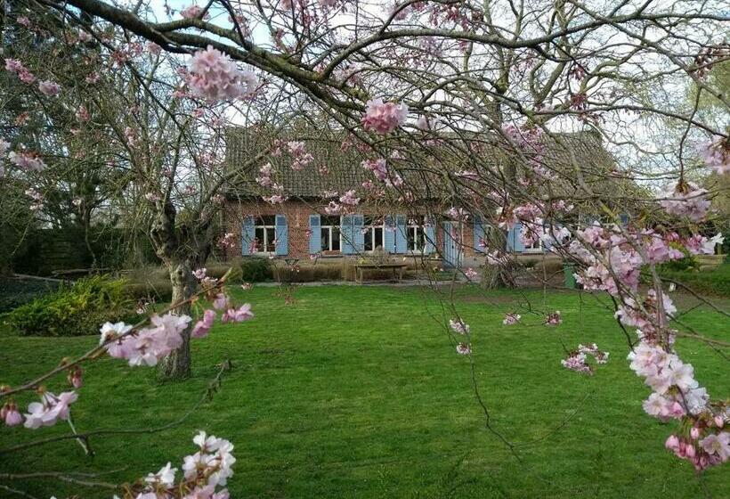 2ベッドルームアパートメント, Saffels Nest 33