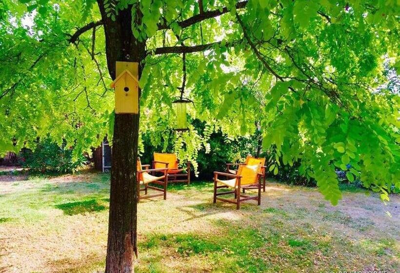 标准间, La Frapperie